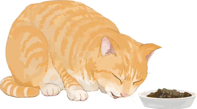 フードを食べる茶トラ猫イラスト（背景透過PNG）