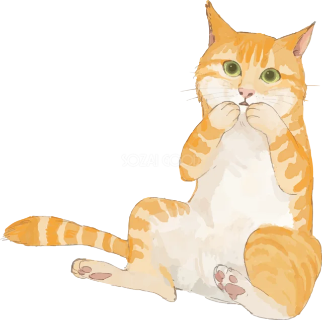 前足で顔を毛づくろいする茶トラ猫（背景透過PNG）