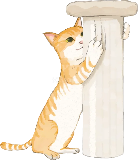 爪とぎポールで爪を研ぐ茶トラ猫（背景透過PNG）