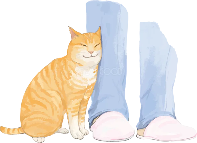 飼い主の足元に寄り添って座る茶トラ猫（背景透過PNG）