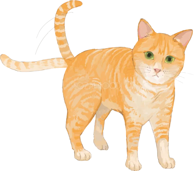 しっぽを立てて歩く茶トラ猫イラスト（背景透過PNG）