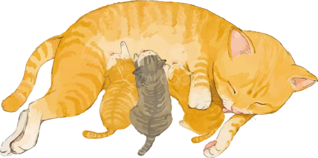 横になった親猫に甘える子猫イラスト（背景透過PNG）