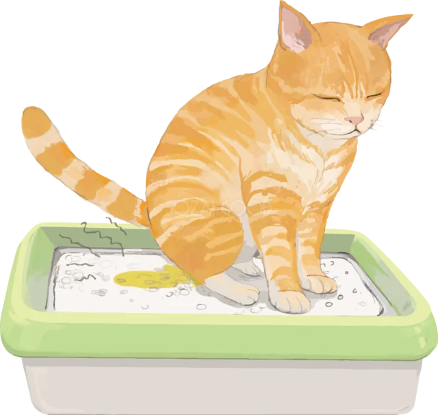猫用トイレに座る茶トラ猫イラスト（背景透過PNG）