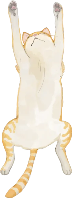 両前足を上に伸ばしてぶら下がる茶トラ猫（背景透過PNG）