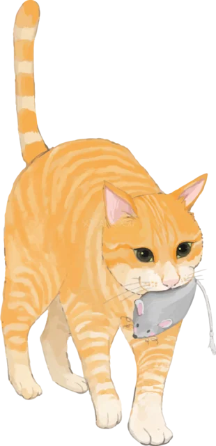 布をくわえて歩く茶トラ猫（背景透過PNG）