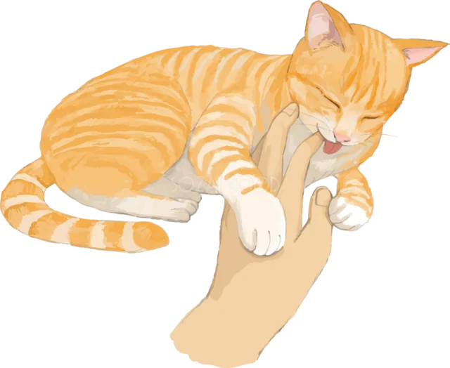 飼い主の手にじゃれつく茶トラ猫（背景透過PNG）