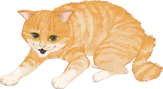 身を低くして威嚇する茶トラ猫（背景透過PNG）