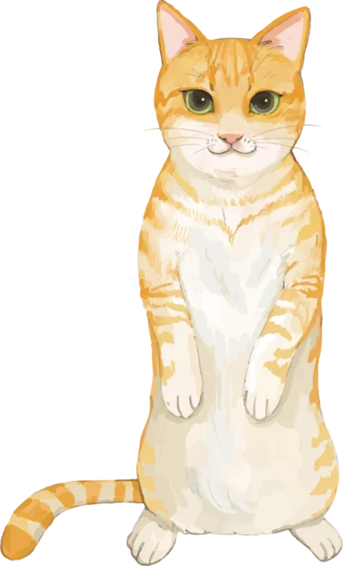 後ろ足で立ち上がる茶トラ猫（背景透過PNG）