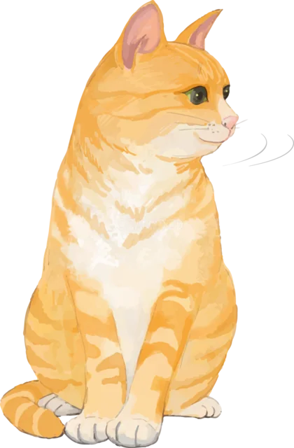 横向きに座る茶トラ猫（背景透過PNG）