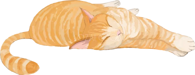 横向きに寝そべって眠る茶トラ猫（背景透過PNG）