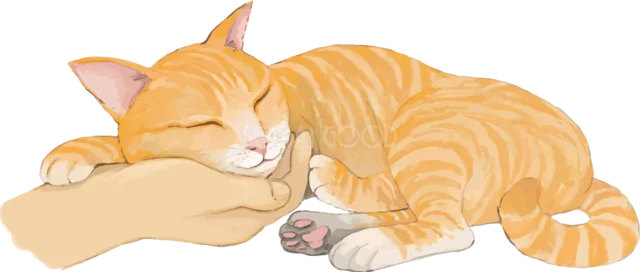 飼い主の手に顔を乗せてくつろぐ茶トラ猫（背景透過PNG）