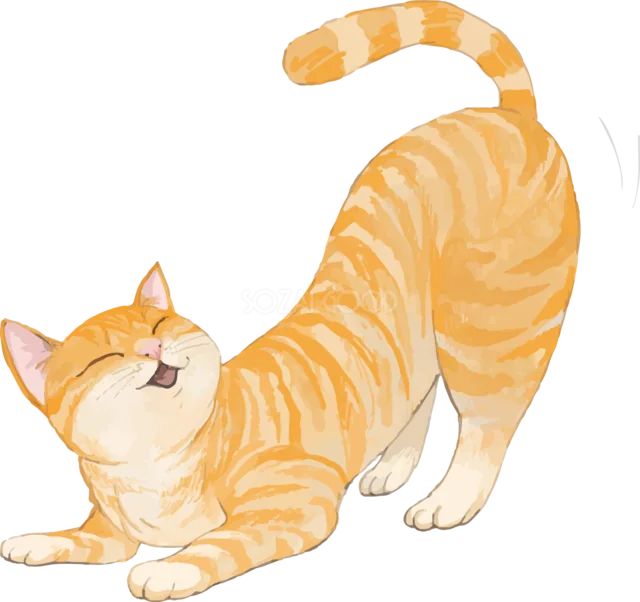 前足を伸ばしてストレッチする茶トラ猫（背景透過PNG）