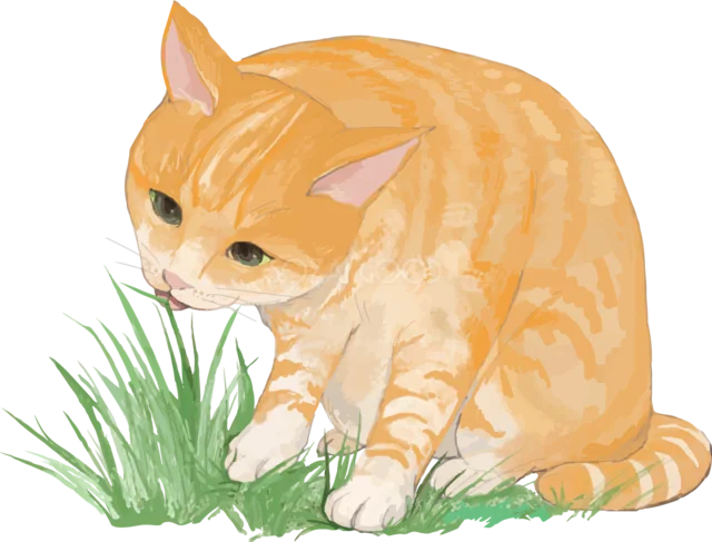 草を食べる茶トラ猫（背景透過PNG）