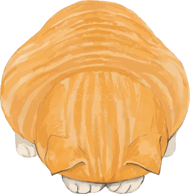 頭を伏せて丸く座る茶トラ猫（背景透過PNG）