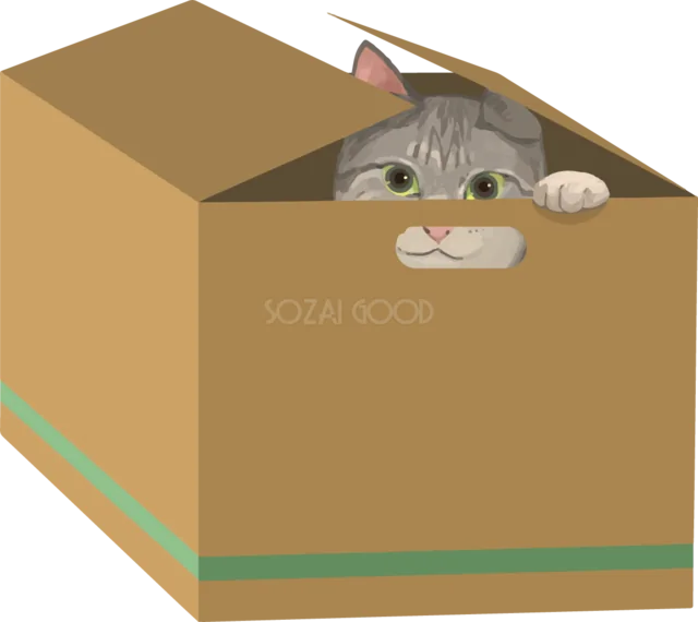 段ボール箱から顔をのぞかせるキジトラ猫（背景透過PNG）
