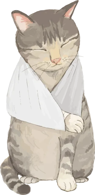 白い術後服を着て座るキジトラ猫（背景透過PNG）