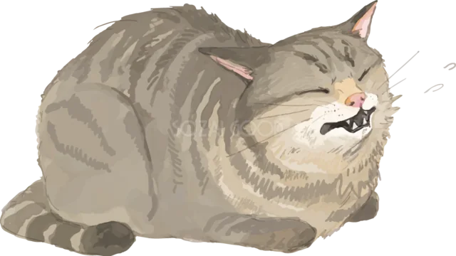 体を低くして威嚇するキジトラ猫（背景透過PNG）
