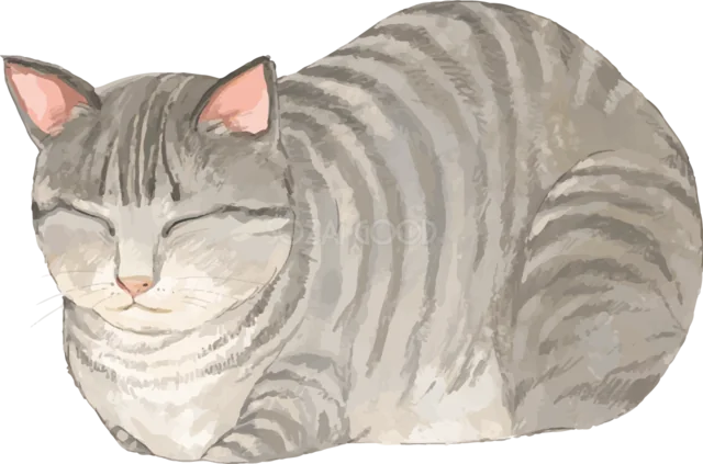 丸くなって眠るキジトラ猫（背景透過PNG）