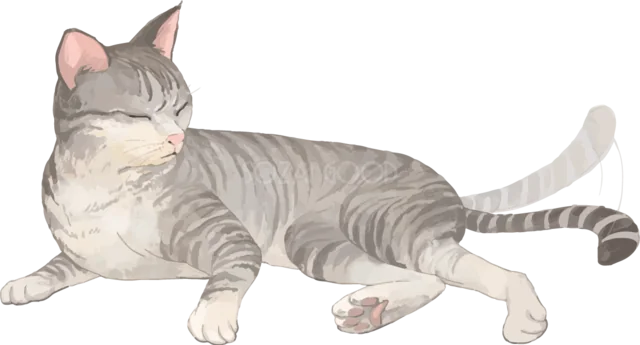 横になってくつろぐキジトラ猫（背景透過PNG）