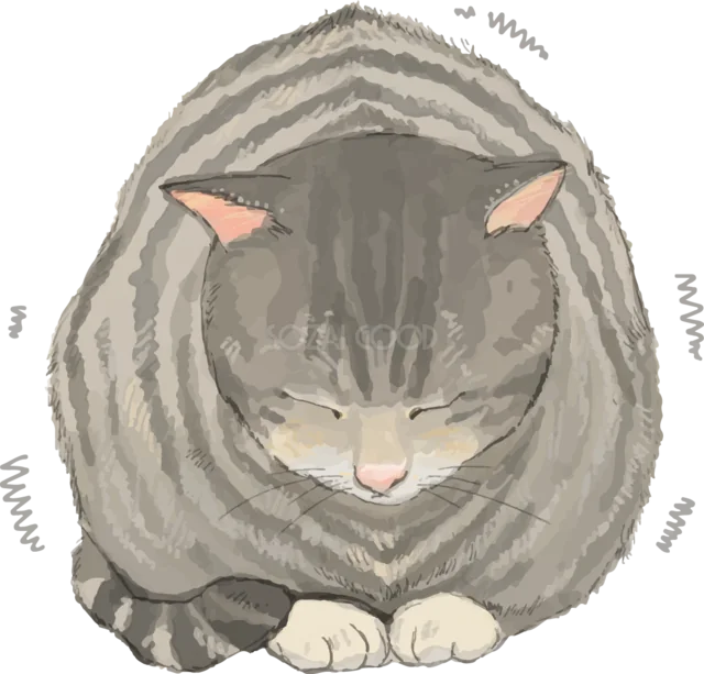 体を丸くして震えるキジトラ猫（背景透過PNG）