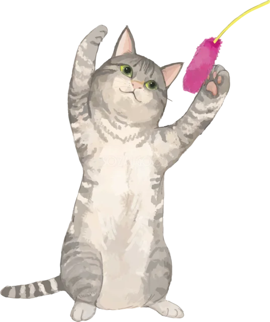 ピンクの猫じゃらしで遊ぶキジトラ猫（背景透過PNG）