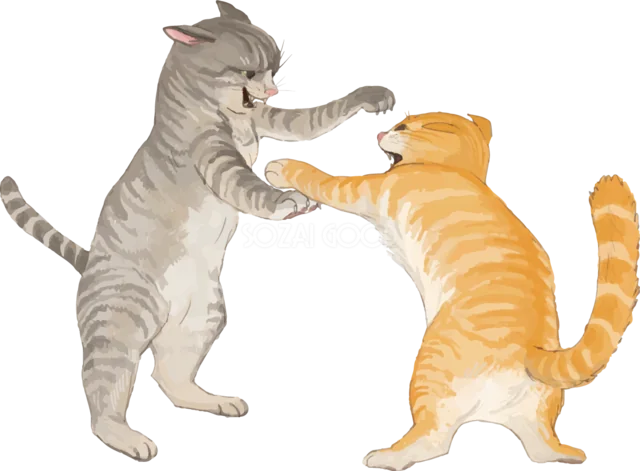 立ち上がってじゃれ合うキジトラ猫と茶トラ猫（背景透過PNG）