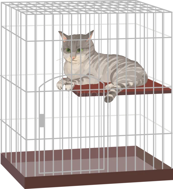 ケージの中で横になるキジトラ猫（背景透過PNG）