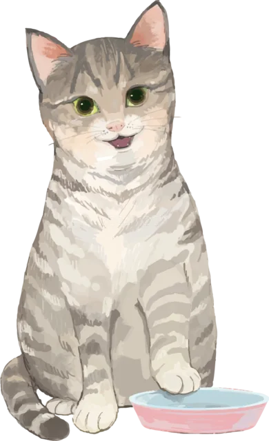 餌入れの横で座るグレーのトラ猫（背景透過PNG）
