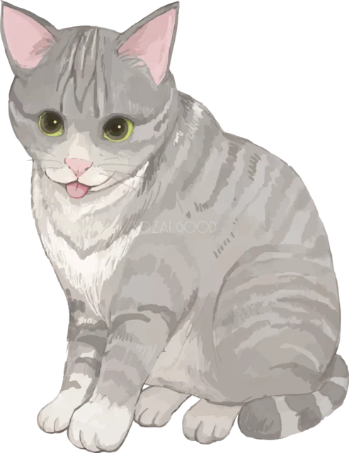 舌を出して座るグレーのトラ猫（背景透過PNG）