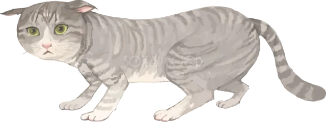横向きに歩くグレーのトラ猫（背景透過PNG）