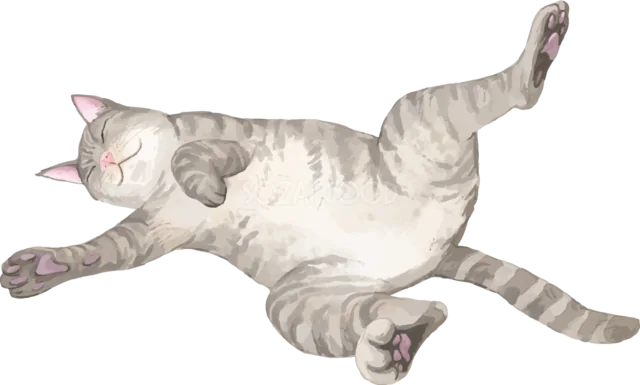 仰向けで足を伸ばして眠るグレーのトラ猫（背景透過PNG）
