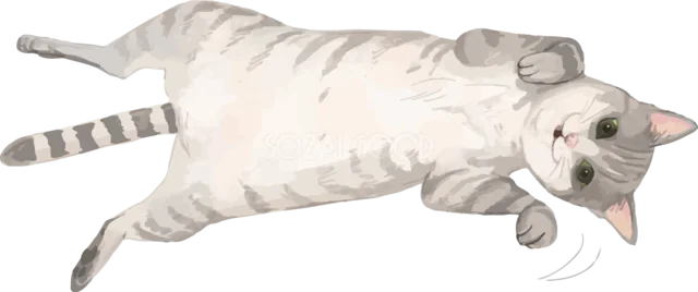 仰向けになって転がるグレーのトラ猫（背景透過PNG）