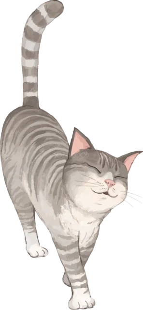 尻尾を立てて歩くグレーのトラ猫（背景透過PNG）