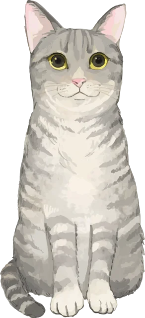 正面を向いて座るグレーのトラ猫（背景透過PNG）