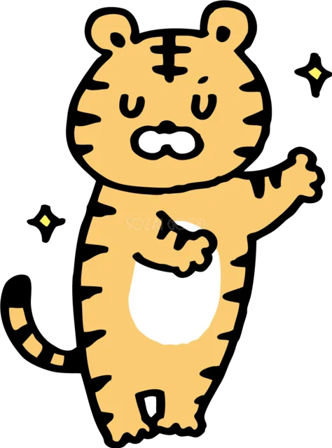 片手を上げて案内するかわいいトラ（背景透過PNG）
