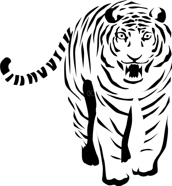 白黒で描いた正面向きのトラ（背景透過PNG）