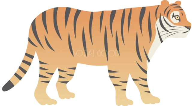 横向きに歩くオレンジ色のトラ（背景透過PNG）