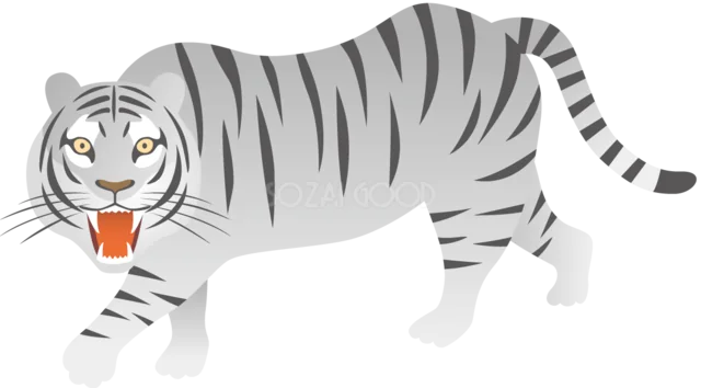 口を開けて歩く白いトラ（背景透過PNG）