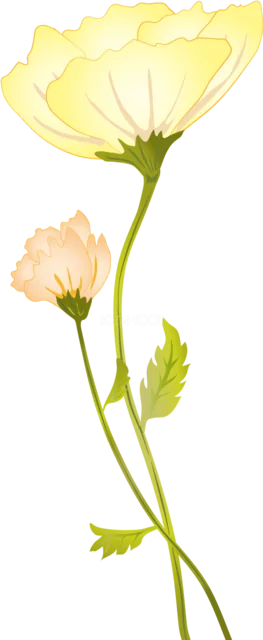 淡い黄色の一輪花と小さなつぼみを描いた花イラスト（背景透過PNG）