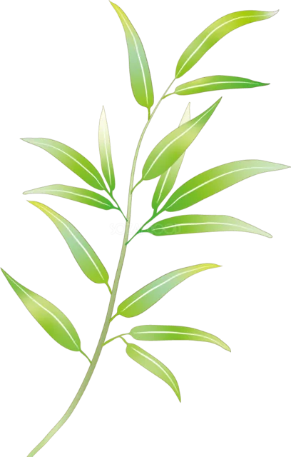 細い緑の竹の葉を軽やかに描いた植物イラスト（背景透過PNG）