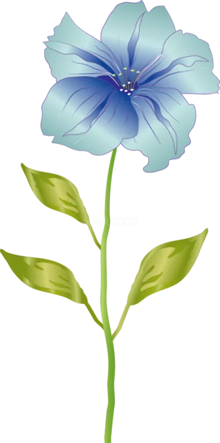 青い一輪花と緑の葉を描いた涼しげな花イラスト（背景透過PNG）