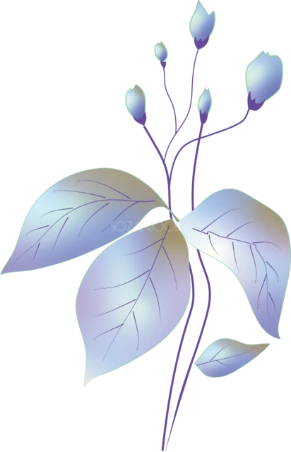 青紫の葉とつぼみを淡いグラデーションで描いた植物イラスト（背景透過PNG）