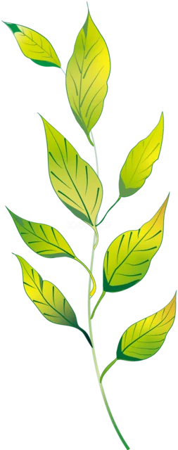 黄緑色の若葉が伸びる細い枝の植物イラスト（背景透過PNG）