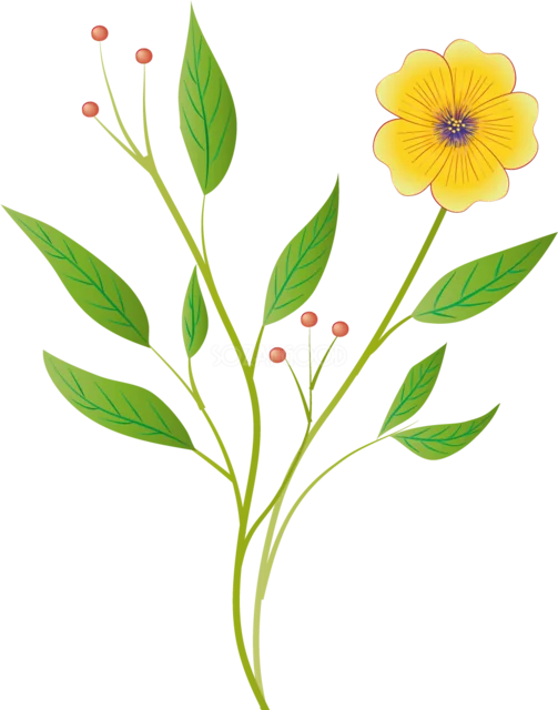 黄色い一輪花と赤い実・緑の葉を描いた植物イラスト（背景透過PNG）