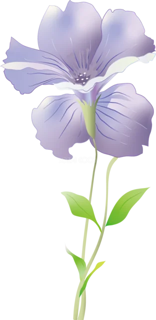 淡い紫の一輪花を描いた上品なフラワーイラスト（背景透過PNG）