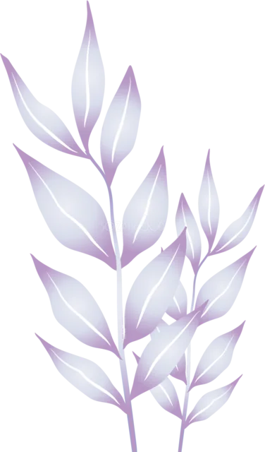淡いラベンダー色の細長い葉を重ねた植物イラスト（背景透過PNG）