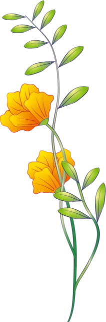 小さな黄色い花と細い緑の茎を描いた植物イラスト（背景透過PNG）