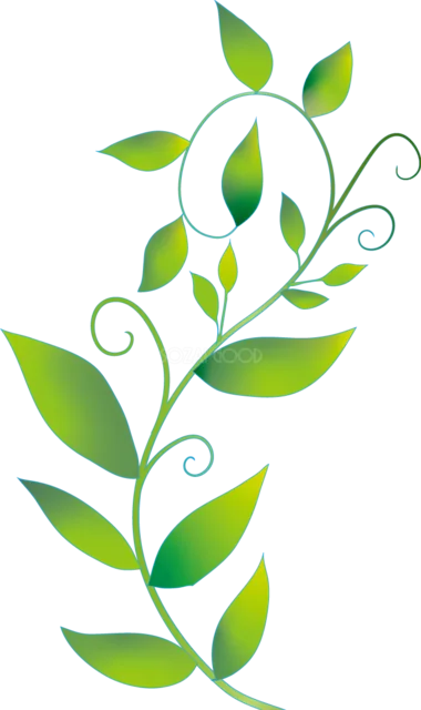 明るい緑の葉と渦巻きの蔓が伸びる植物イラスト（背景透過PNG）
