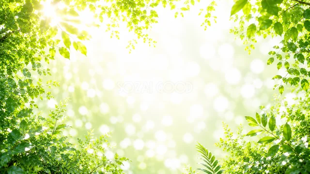 緑の玉ボケの夏の緑ボタニカル背景