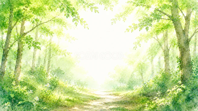 緑深い森の小道の緑あふれる自然背景